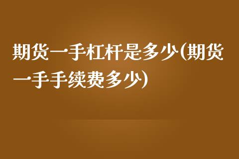 期货一手杠杆是多少(期货一手手续费多少)_https://www.zztgc.com_期货直播_第1张