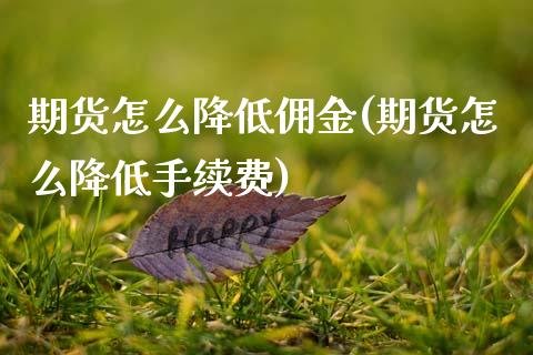 期货怎么降低佣金(期货怎么降低手续费)_https://www.zztgc.com_期货入门_第1张