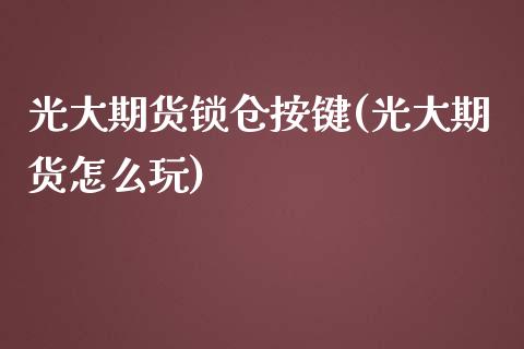 光大期货锁仓按键(光大期货怎么玩)_https://www.zztgc.com_期货入门_第1张