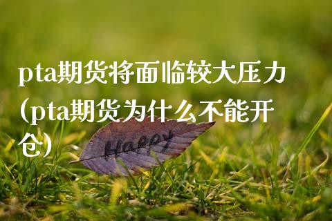 pta期货将面临较大压力(pta期货为什么不能开仓)_https://www.zztgc.com_黄金期货_第1张