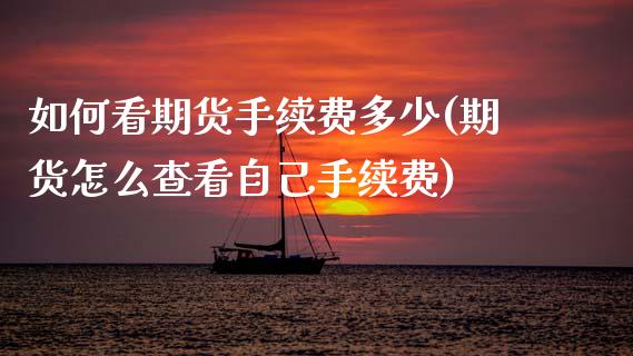 如何看期货手续费多少(期货怎么查看自己手续费)_https://www.zztgc.com_黄金期货_第1张
