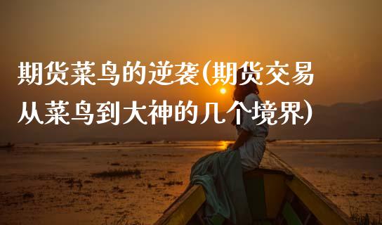 期货菜鸟的逆袭(期货交易从菜鸟到大神的几个境界)_https://www.zztgc.com_黄金期货_第1张