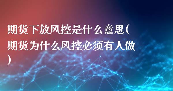期货下放风控是什么意思(期货为什么风控必须有人做)_https://www.zztgc.com_期货入门_第1张