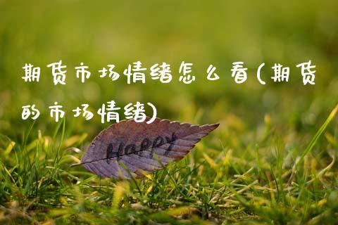 期货市场情绪怎么看(期货的市场情绪)_https://www.zztgc.com_期货入门_第1张