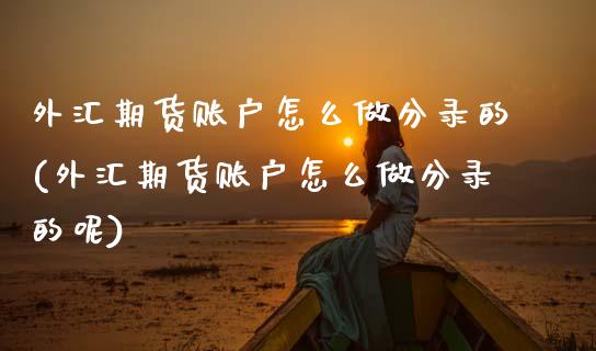 外汇期货账户怎么做分录的(外汇期货账户怎么做分录的呢)_https://www.zztgc.com_黄金期货_第1张