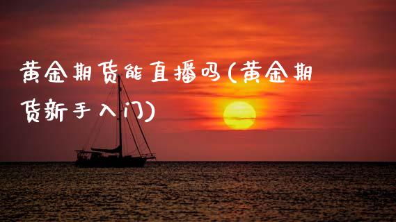 黄金期货能直播吗(黄金期货新手入门)_https://www.zztgc.com_黄金期货_第1张