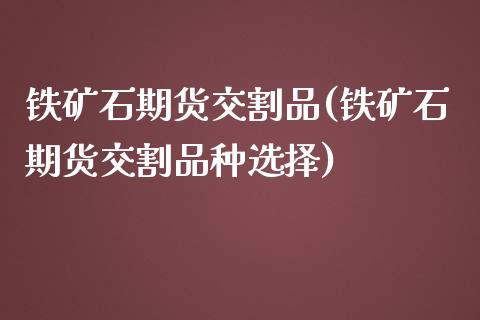 铁矿石期货交割品(铁矿石期货交割品种选择)_https://www.zztgc.com_期货入门_第1张
