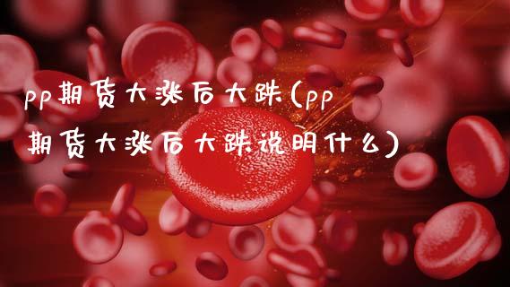 pp期货大涨后大跌(pp期货大涨后大跌说明什么)_https://www.zztgc.com_期货开户_第1张
