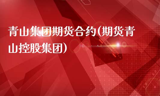 青山集团期货合约(期货青山控股集团)_https://www.zztgc.com_原油期货_第1张