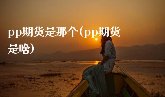 pp期货是那个(pp期货是啥)_https://www.zztgc.com_黄金期货_第1张