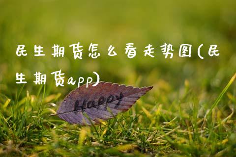 民生期货怎么看走势图(民生期货app)_https://www.zztgc.com_期货入门_第1张