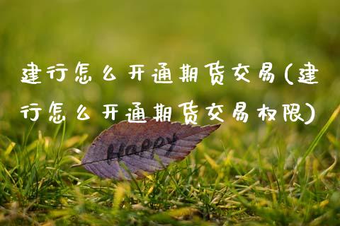 建行怎么开通期货交易(建行怎么开通期货交易权限)_https://www.zztgc.com_原油期货_第1张