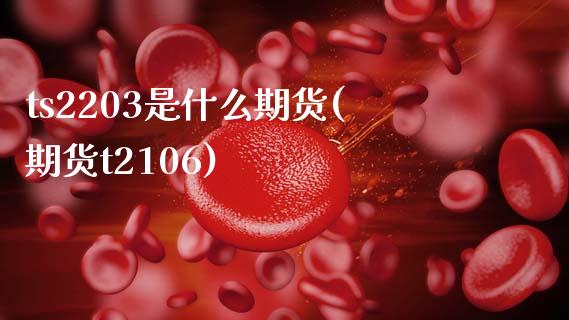 ts2203是什么期货(期货t2106)_https://www.zztgc.com_期货入门_第1张