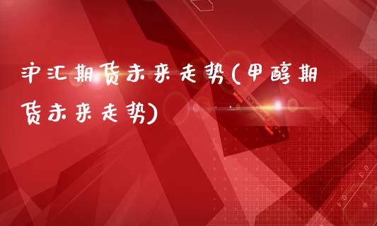 沪汇期货未来走势(甲醇期货未来走势)_https://www.zztgc.com_期货行情_第1张