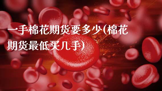 一手棉花期货要多少(棉花期货最低买几手)_https://www.zztgc.com_期货入门_第1张