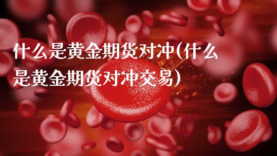 什么是黄金期货对冲(什么是黄金期货对冲交易)_https://www.zztgc.com_黄金期货_第1张