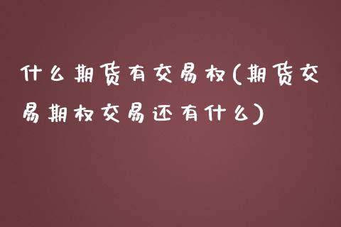 什么期货有交易权(期货交易期权交易还有什么)_https://www.zztgc.com_期货行情_第1张