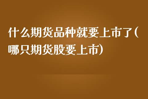 什么期货品种就要上市了(哪只期货股要上市)_https://www.zztgc.com_原油期货_第1张