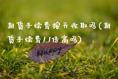 期货手续费按天收取吗(期货手续费1.1倍高吗)_https://www.zztgc.com_期货入门_第1张