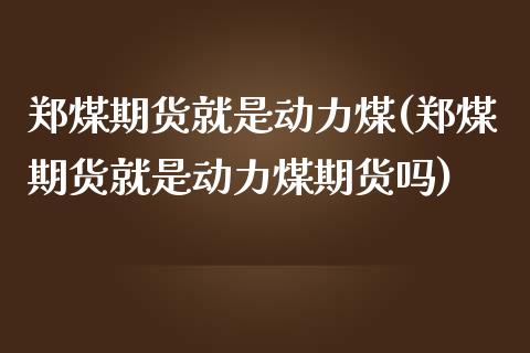 郑煤期货就是动力煤(郑煤期货就是动力煤期货吗)_https://www.zztgc.com_期货入门_第1张