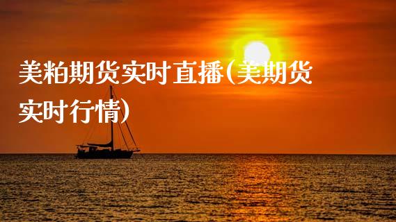 美粕期货实时直播(美期货实时行情)_https://www.zztgc.com_期货入门_第1张