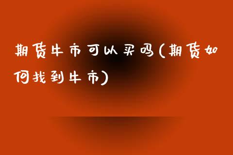 期货牛市可以买吗(期货如何找到牛市)_https://www.zztgc.com_期货入门_第1张