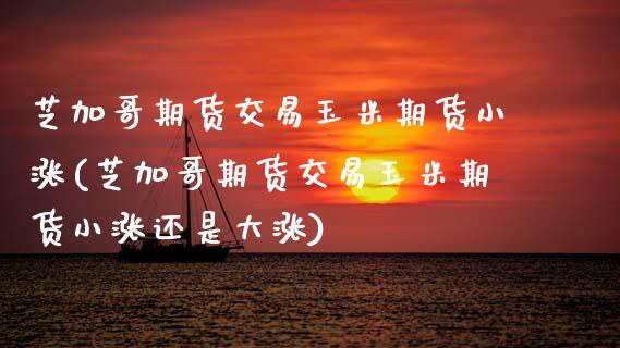 芝加哥期货交易玉米期货小涨(芝加哥期货交易玉米期货小涨还是大涨)_https://www.zztgc.com_期货开户_第1张
