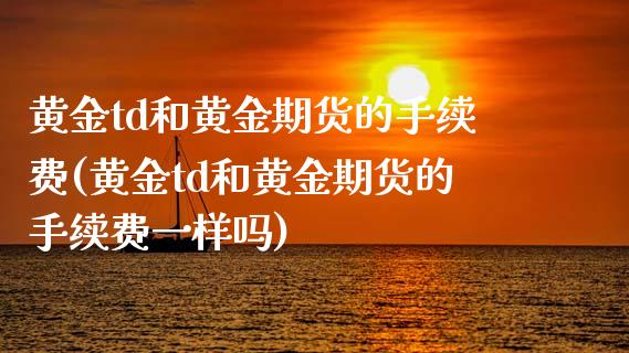 黄金td和黄金期货的手续费(黄金td和黄金期货的手续费一样吗)_https://www.zztgc.com_期货直播_第1张