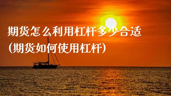 期货怎么利用杠杆多少合适(期货如何使用杠杆)_https://www.zztgc.com_原油期货_第1张