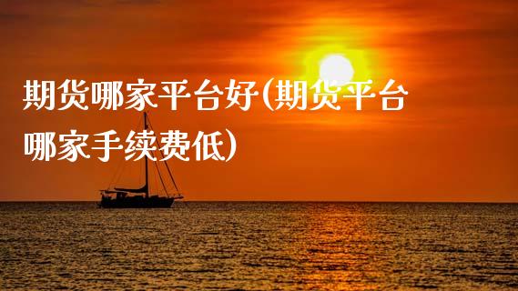 期货哪家平台好(期货平台哪家手续费低)_https://www.zztgc.com_期货入门_第1张