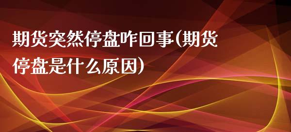 期货突然停盘咋回事(期货停盘是什么原因)_https://www.zztgc.com_期货入门_第1张