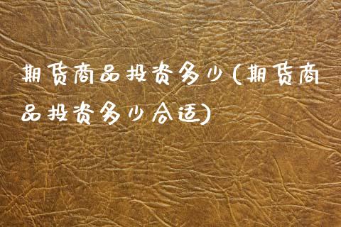 期货商品投资多少(期货商品投资多少合适)_https://www.zztgc.com_黄金期货_第1张