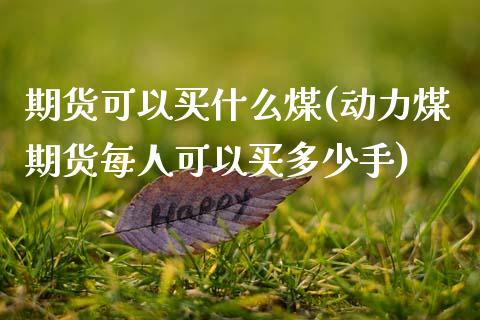 期货可以买什么煤(动力煤期货每人可以买多少手)_https://www.zztgc.com_期货入门_第1张