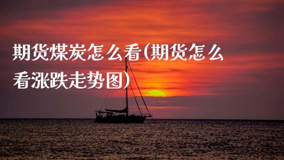 期货煤炭怎么看(期货怎么看涨跌走势图)_https://www.zztgc.com_期货直播_第1张