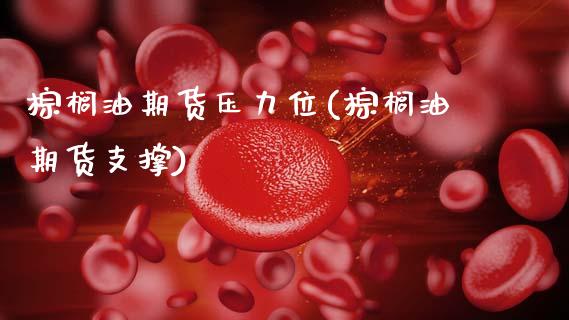 棕榈油期货压力位(棕榈油期货支撑)_https://www.zztgc.com_期货入门_第1张