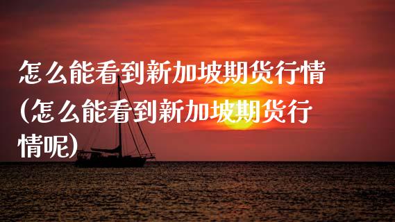怎么能看到新加坡期货行情(怎么能看到新加坡期货行情呢)_https://www.zztgc.com_期货入门_第1张