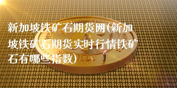 新加坡铁矿石期货网(新加坡铁矿石期货实时行情铁矿石有哪些指数)_https://www.zztgc.com_期货开户_第1张