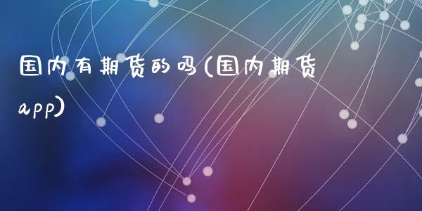 国内有期货的吗(国内期货app)_https://www.zztgc.com_期货行情_第1张