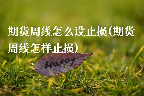 期货周线怎么设止损(期货周线怎样止损)_https://www.zztgc.com_黄金期货_第1张