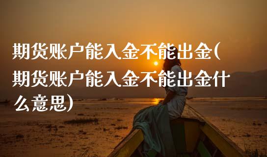 期货账户能入金不能出金(期货账户能入金不能出金什么意思)_https://www.zztgc.com_期货入门_第1张
