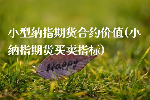小型纳指期货合约价值(小纳指期货买卖指标)_https://www.zztgc.com_期货入门_第1张