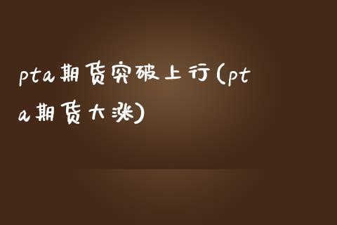 pta期货突破上行(pta期货大涨)_https://www.zztgc.com_黄金期货_第1张