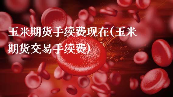 玉米期货手续费现在(玉米期货交易手续费)_https://www.zztgc.com_期货直播_第1张