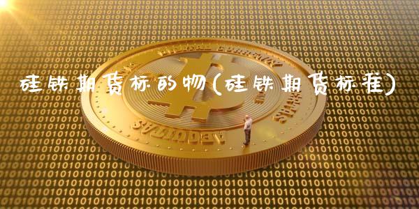硅铁期货标的物(硅铁期货标准)_https://www.zztgc.com_期货开户_第1张