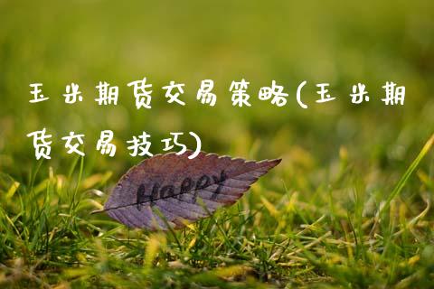 玉米期货交易策略(玉米期货交易技巧)_https://www.zztgc.com_期货入门_第1张
