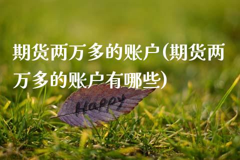 期货两万多的账户(期货两万多的账户有哪些)_https://www.zztgc.com_期货入门_第1张