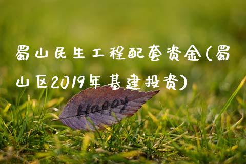 蜀山民生工程配套资金(蜀山区2019年基建投资)_https://www.zztgc.com_期货开户_第1张