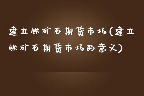 建立铁矿石期货市场(建立铁矿石期货市场的意义)_https://www.zztgc.com_期货行情_第1张