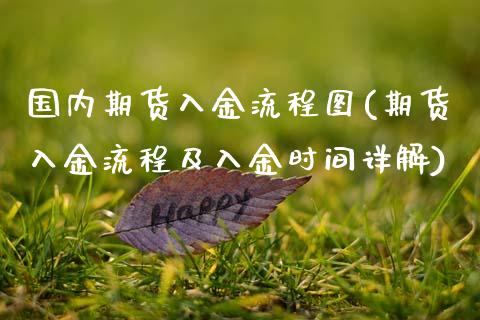 国内期货入金流程图(期货入金流程及入金时间详解)_https://www.zztgc.com_原油期货_第1张