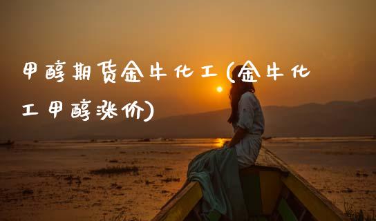 甲醇期货金牛化工(金牛化工甲醇涨价)_https://www.zztgc.com_期货直播_第1张